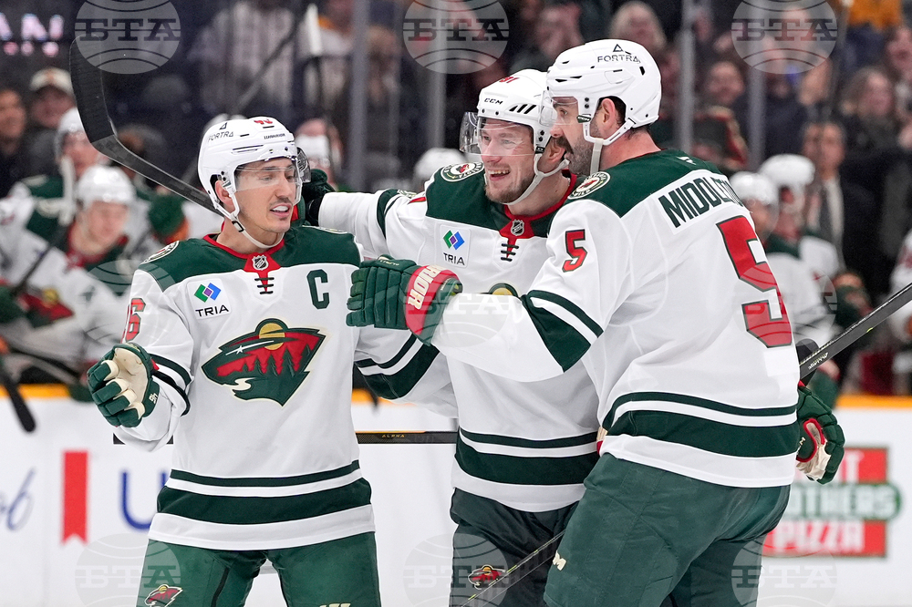 Wild Predators Hockey