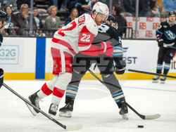 Redwings Mammoth Hockey