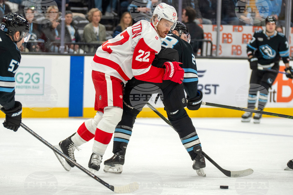 Redwings Mammoth Hockey