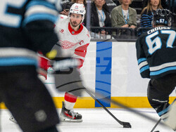 Redwings Mammoth Hockey