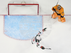 Wild Predators Hockey