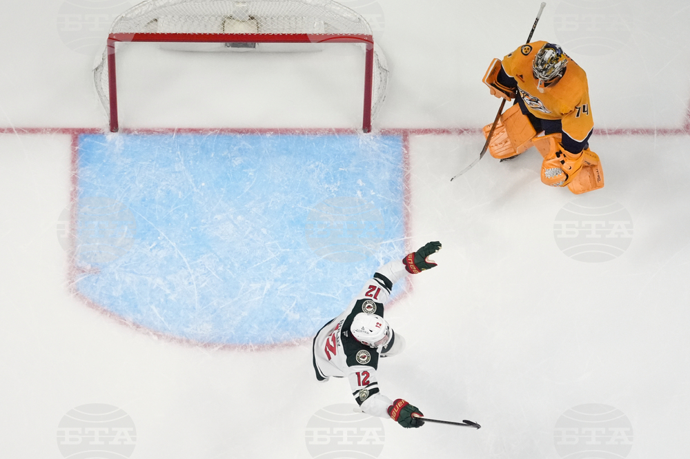 Wild Predators Hockey