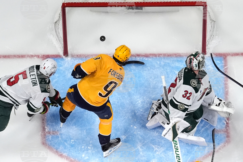 Wild Predators Hockey