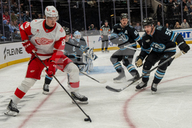 Redwings Mammoth Hockey