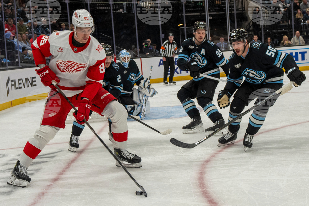 Redwings Mammoth Hockey