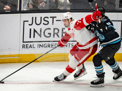 Redwings Mammoth Hockey