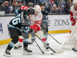 Redwings Mammoth Hockey