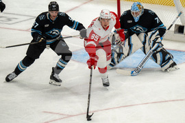 Redwings Mammoth Hockey