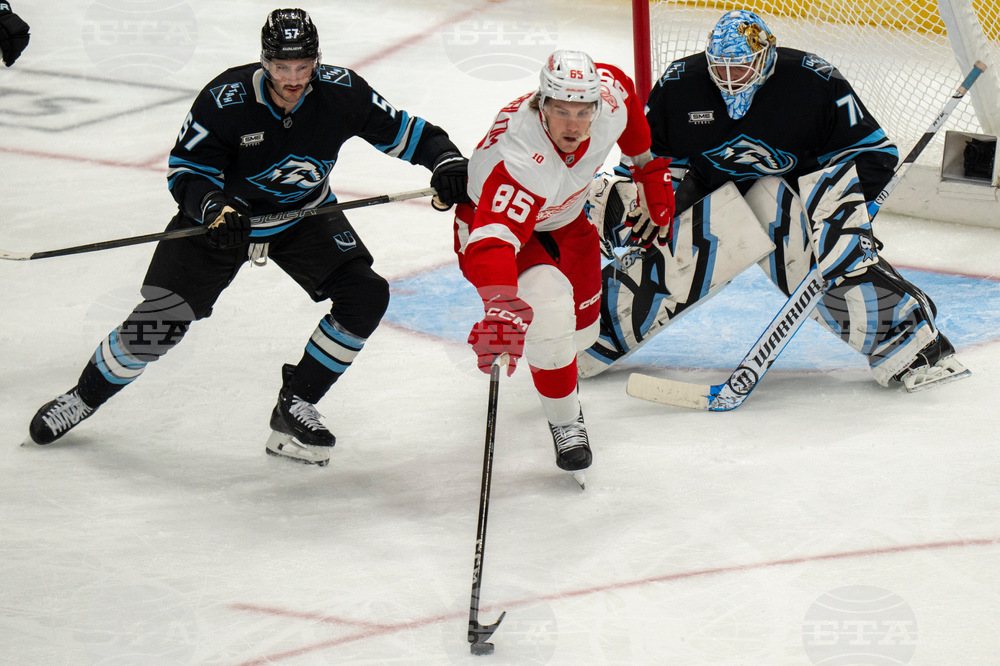 Redwings Mammoth Hockey