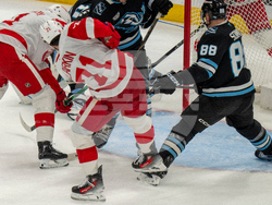 Redwings Mammoth Hockey