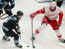 Redwings Mammoth Hockey