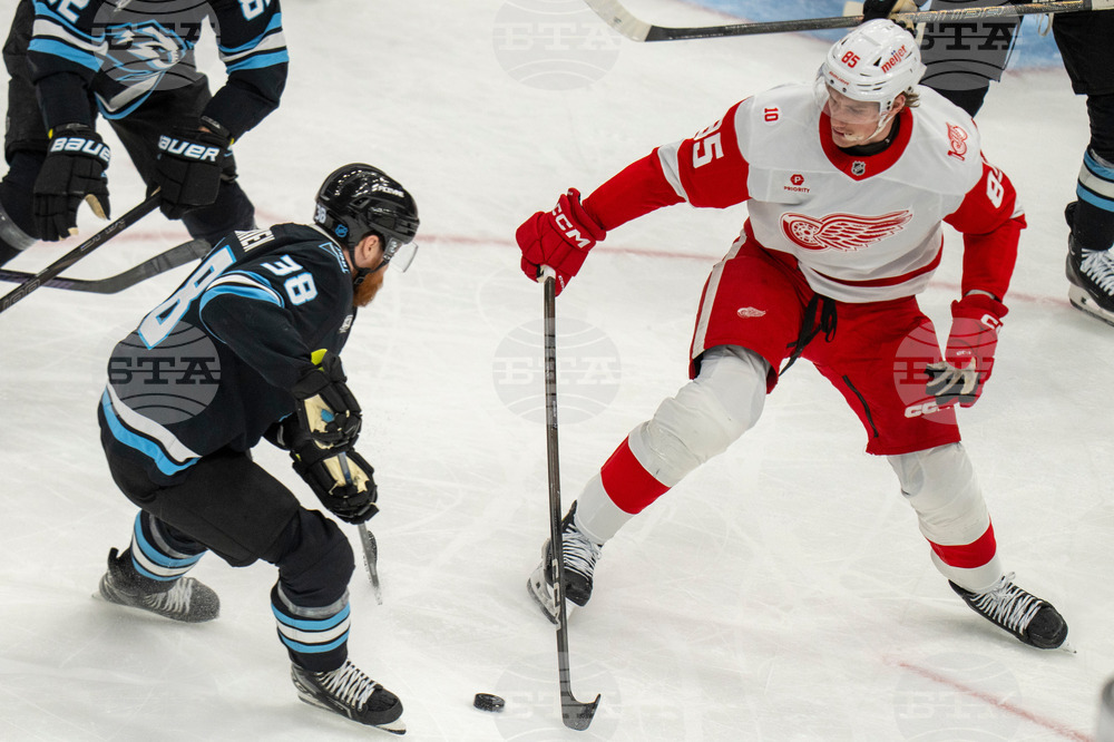 Redwings Mammoth Hockey