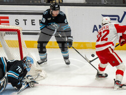 Redwings Mammoth Hockey