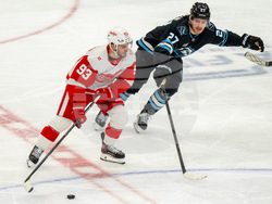 Redwings Mammoth Hockey