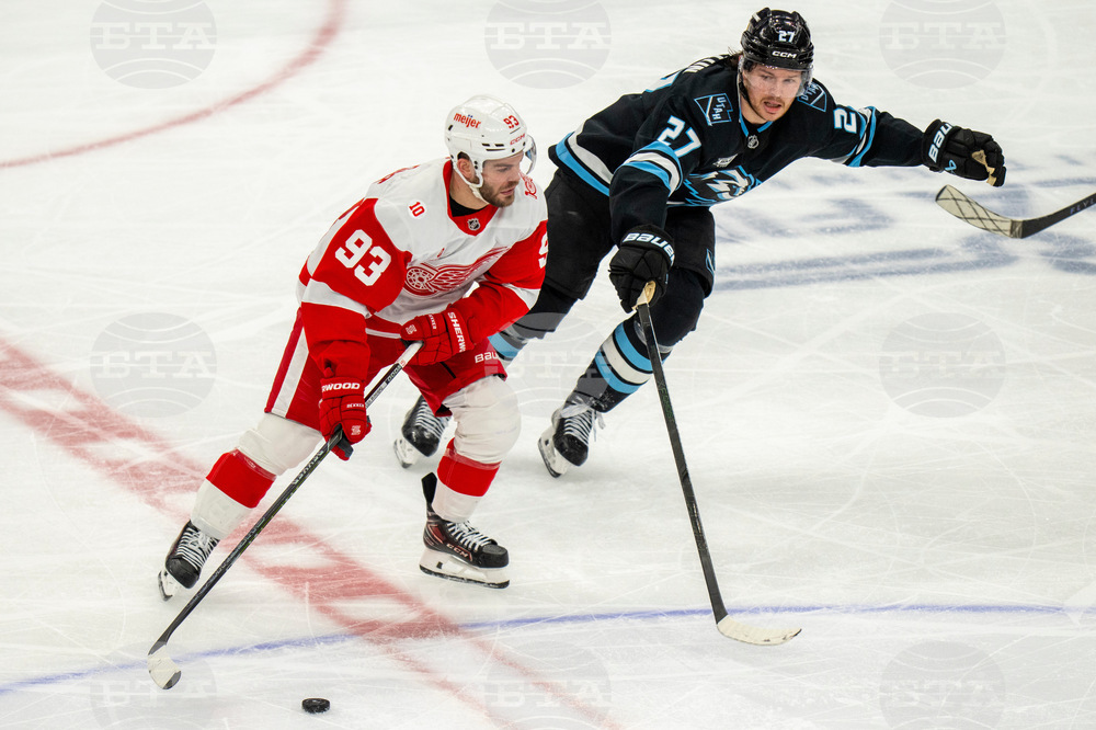 Redwings Mammoth Hockey