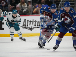 Sharks Avalanche Hockey