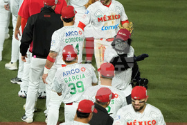 Mexico Baseball
