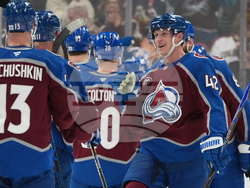 Sharks Avalanche Hockey