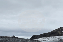 Антарктида - залив Фолс Бей - изглед