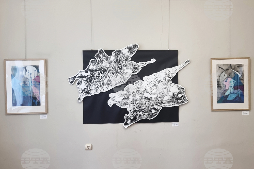 Плевен - Емил Иванов - изложба