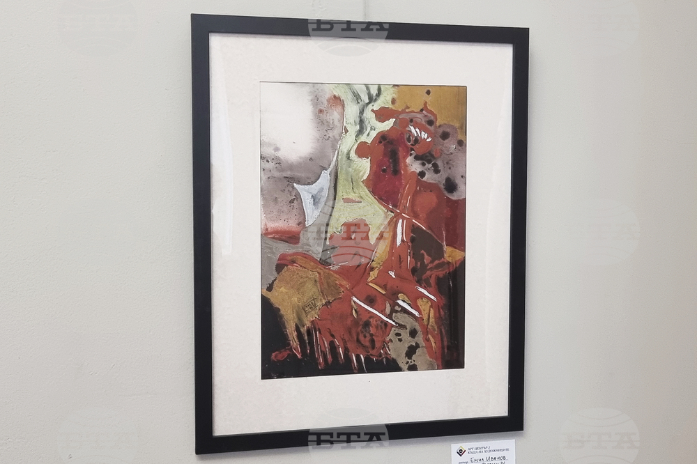 Плевен - Емил Иванов - изложба