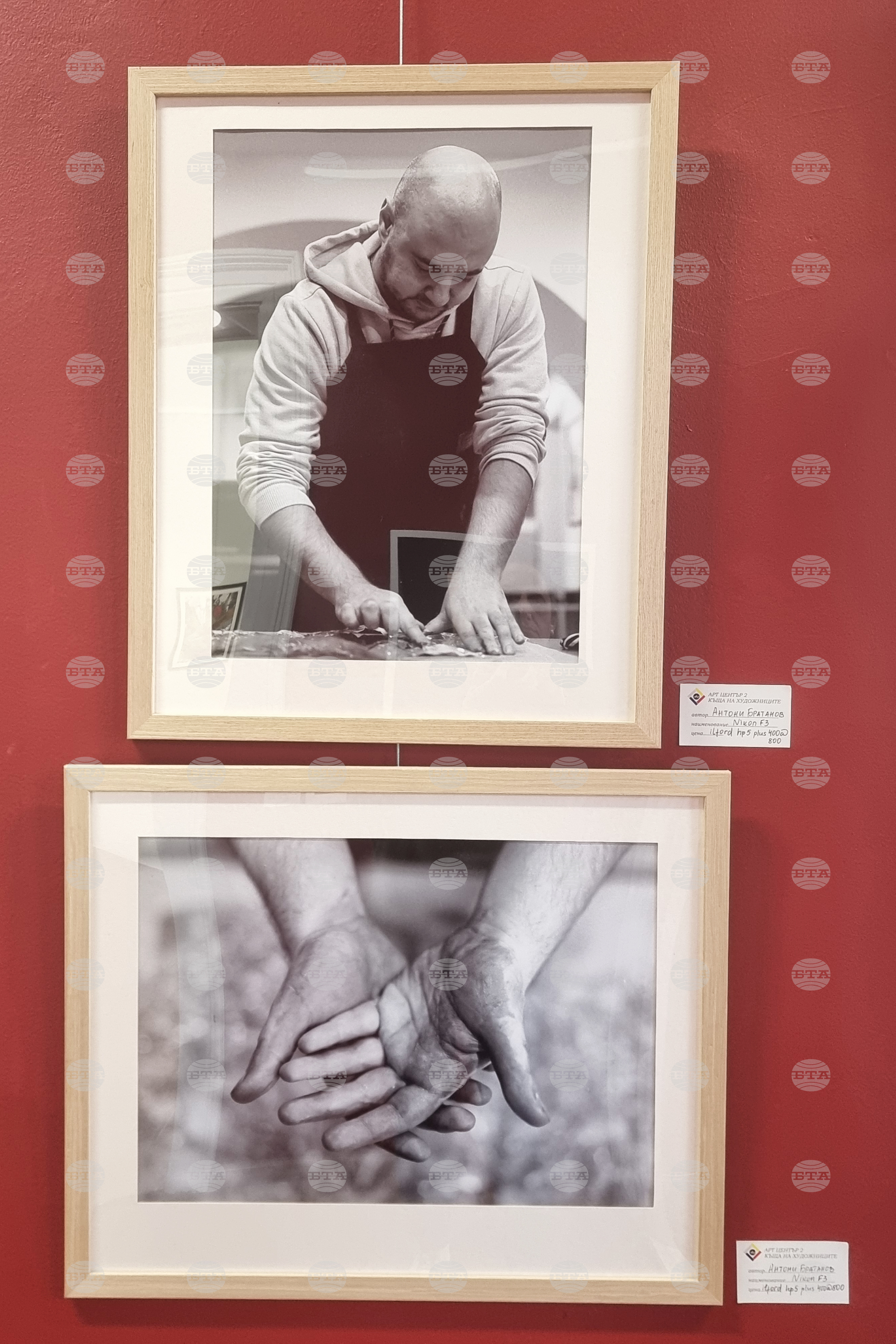 Плевен - Емил Иванов - изложба