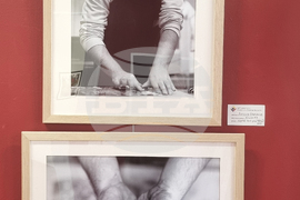 Плевен - Емил Иванов - изложба