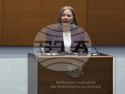Народно събрание - заседание - Надежда Йорданова