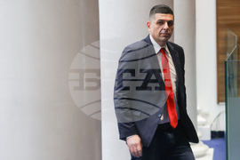 Народно събрание - заседание - Ивайло Мирчев