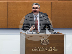 Народно събрание - заседание - Танер Али