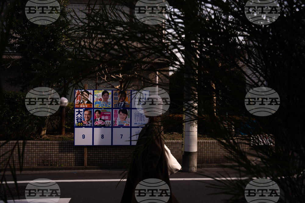 Ройтерс: Изборите в Япония: Какво да очакваме от вота в неделя