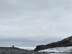 Antarctica - False Bay - View