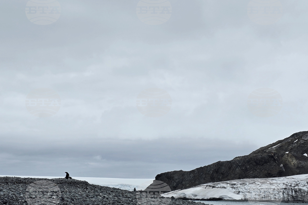 Antarctica - False Bay - View