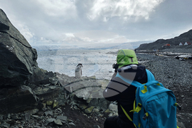 Antarctica - Livingston Island - View