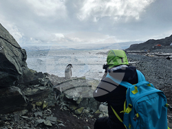 Antarctica - Livingston Island - View