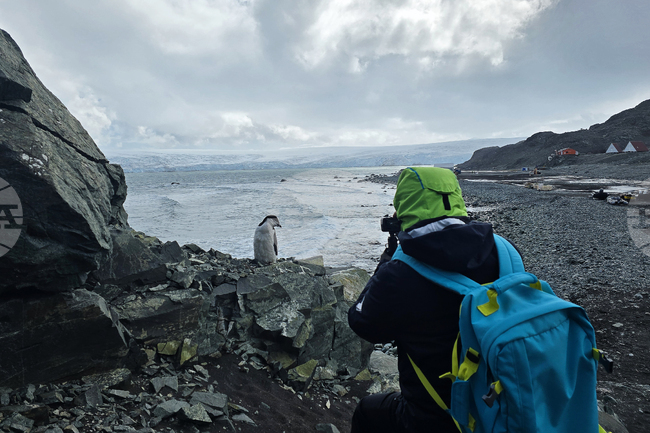 Antarctica - Livingston Island - View