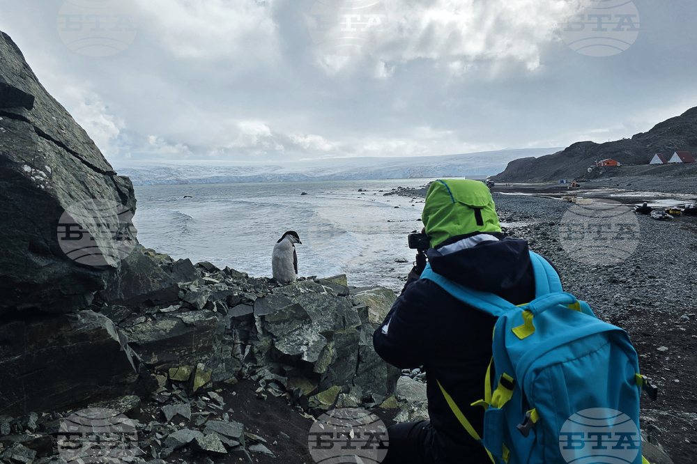Antarctica - Livingston Island - View