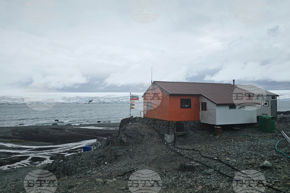 Antarctica - Livingston Island - View