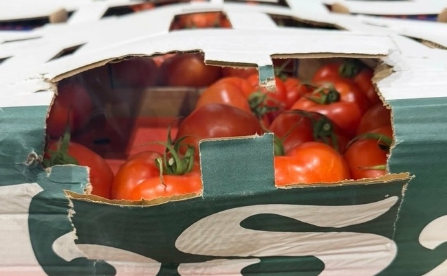 Over 14 Tonnes of Undeclared Vegetables Seized at Lesovo Border Checkpoint