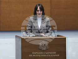 Народно събрание - заседание - Деница Симеонова