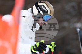 Milan Cortina Olympics Alpine Skiing