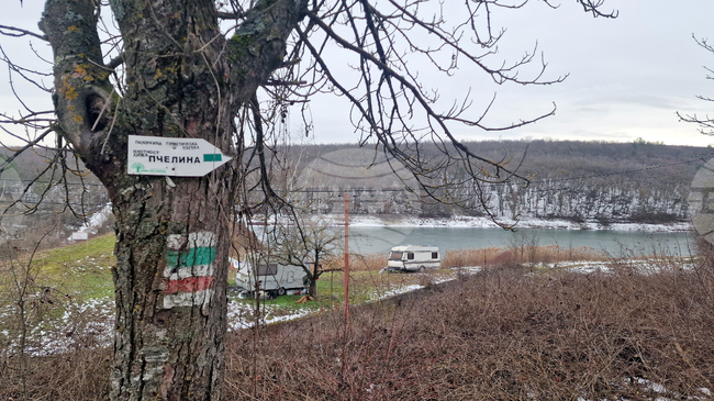 Взети са проби от водата в язовир „Пчелина 2“ край Разград след установяване на случаи на мъртва риба 