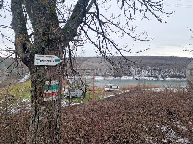 Взети са проби от водата в язовир „Пчелина 2“ край Разград след установяване на случаи на мъртва риба 