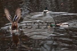 Дъждовно време