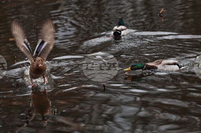 Дъждовно време