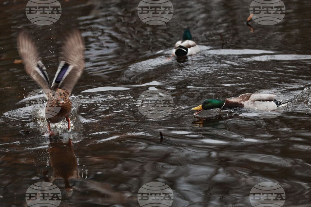 Дъждовно време