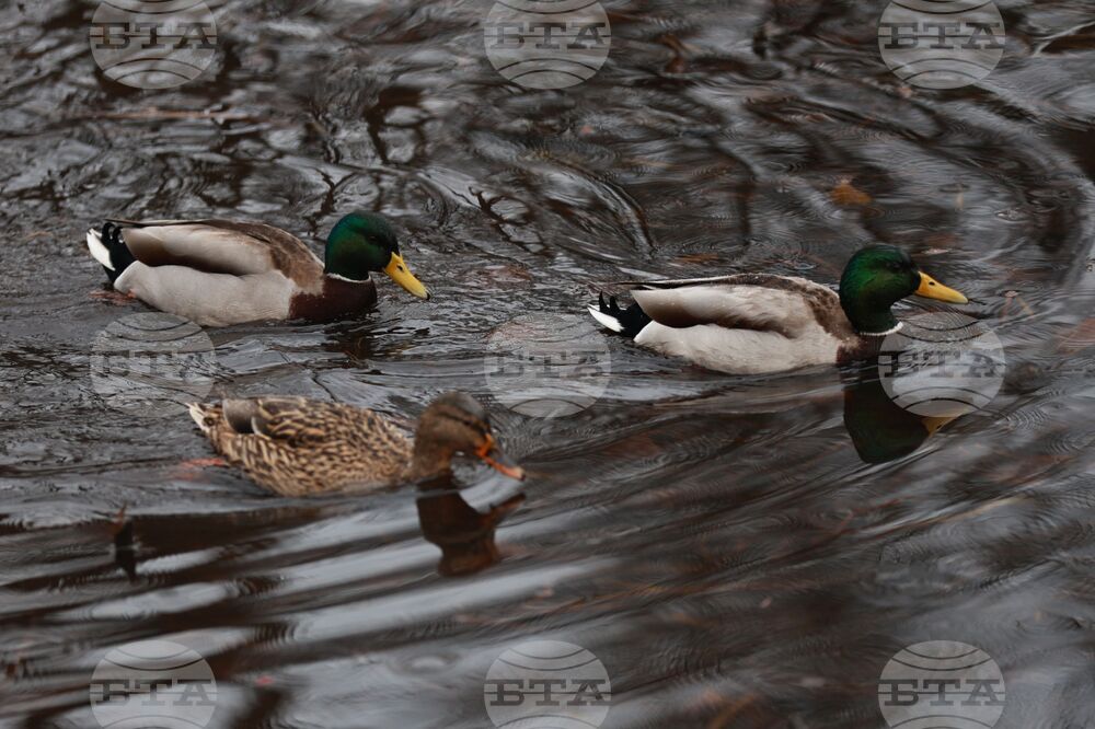 Дъждовно време