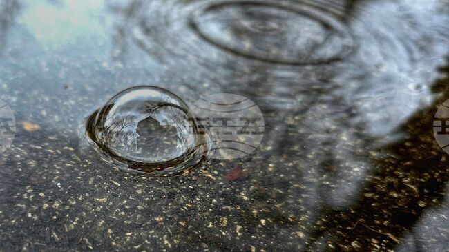 Прогноза за времето