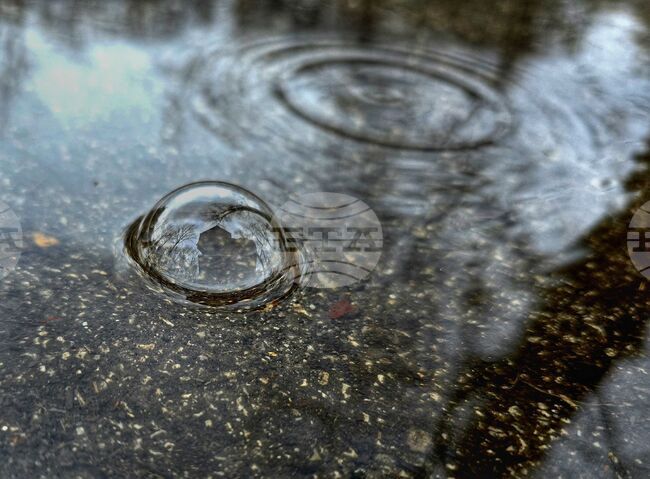 Прогноза за времето