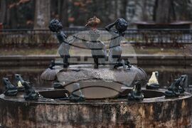 Дъждовно време